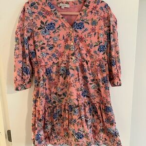 LOFT Pink and Blue Floral Dress